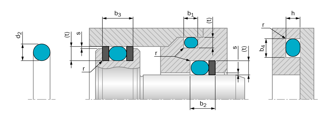 O-ring standard