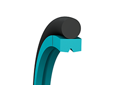 Glyd Ring®  Hz (short stroke)