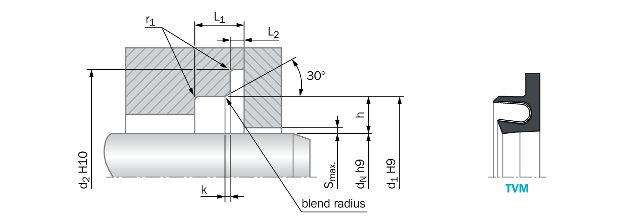 Turcon® Roto Variseal®