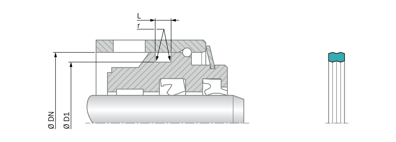 Dualseal