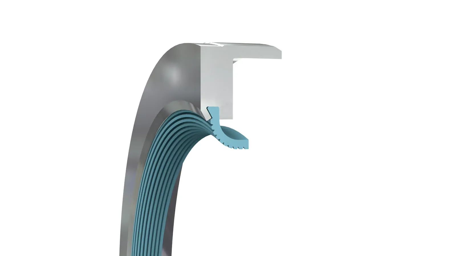 Turcon® Varilip® Type C