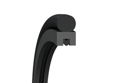 Turcon® AQ Seal® 5